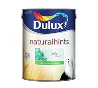 Dulux 500007 DU Silk Paint, 5 L - Jade White