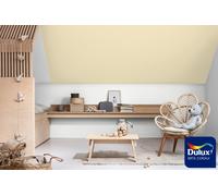 Dulux Colour Tester Lemon Chiffon 5, 30ML