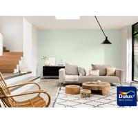 Dulux Colour Tester Nordic Spa, 30ML