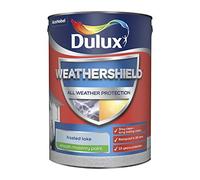 Dulux Paints 5 Litre Weathershield Smooth Masonry Frosted Lake