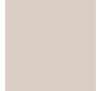 Dulux Walls and Ceilings Matt Paint