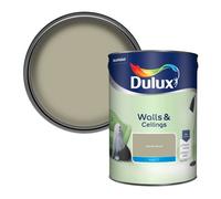 Dulux Walls & Ceilings Matt Overtly Olive - 5L