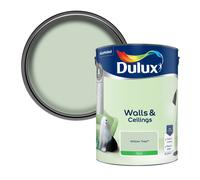 Dulux Walls & Ceilings Silk Paint Willow Tree - 5L