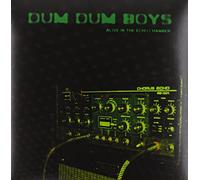 Dum Dum Boys - Alive in the Echo Chamber [Vinyl LP] [VINYL]