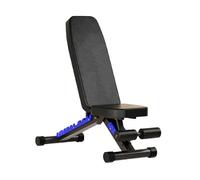 Dumbbell Bench, Adjustable Portable Fitness Chair, Suitable for Home Gym Dumbbell Training, Load-Bearing Capacity 300kg