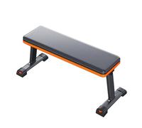 Dumbbell Bench, Foldable Fitness Chair, Home Steel Flat Bench, Suitable for Full Body Exercise in Home Gym, Load-Bearing 250kg