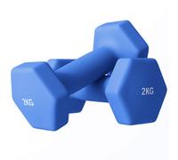 Dumbbell Set 2x2kg Blue Plastic Hex Non-Slip Grip Pair 16x7.5x7.5cm for Home Gym