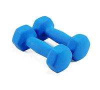 Dumbbells Dumbbell Set Cast Iron Hexagonal Dumbbell Lightweight and Portable core and Strength Training Fitness Dumbbells for Women to Lose Weight (Color : Gray Size : 3KG/6.6LB) (Blue 4 KG/8.8LB)