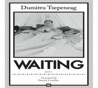 Dumitru Tsepeneag Waiting: stories : Stories Paperback Book Dumitru Tsepeneag Multicolor