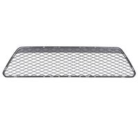 Dummy Grid Ventilation Grid Front Fits: FORD FOCUS II Convertible 04.07-08.02