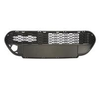 Dummy Grid Ventilation Grid Front Fits PEUGEOT 107 12.05-12.14