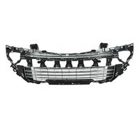Dummy Grid Ventilation Grid Front Fits: PEUGEOT 308 I 07.09-11.04
