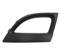 Dummy Grid Ventilation Grid Front Left For: RENAULT GRAND SCENIC III Ph I, SC