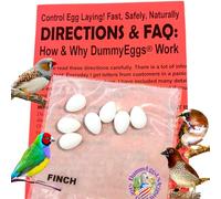 DummyEggsⓇ USA. Finch Dummy Eggs Stop Laying! White Non-Toxic Solid Plastic Realistic Fake Bird Eggs for All Finches Society, Zebra, Gouldian, Spice. 15 x 12mm 5/8" x 1/2" Laid in USA!