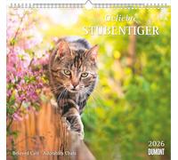 Geliebte Stubentiger 2026 - DUMONT Wandkalender - mit den wichtigsten Feiertagen - Format 38,0 x 35,5 cm: Beloved Cats - Adorables Chats
