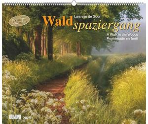 DUMONT - Forest Walk 2026 - Photo Art Calendar Landscape Format 60 x 50 cm - Nature Photography by Lars van de Goor for Forest & Nature Lovers: A Walk in the Woods Promenade en Foret