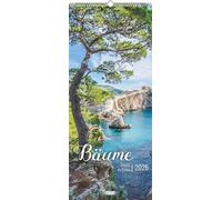 Bäume - Wandkalender im Format 30 x 70