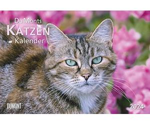 DUMONTS Cat Calendar 2024, Brochure Calendar, Wall Calendar, with School Holiday Dates, Format 42 x 29 cm: with Entertaining Cat Stories