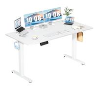 DUMOS 63" Height Adjustable Electric Standing Desk Sit-to-Stand Computer Workstations, Large Workstations, Desk, Home Office, Writing, Gaming Desks with Memory Presets for