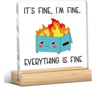 Dumpster Fire Funny Desk Accessories, Leaving Gifts for Colleagues Women Friendship Gifts for Coworkers Work Bestie Colleague Leaving Gift for Women Friends