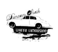 Duncan Sheik - White Limousine