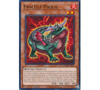 DUNE-EN017 Evoltile Pholis