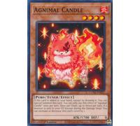 DUNE-EN027 Agnimal Candle