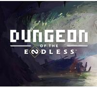 Dungeon of the Endless Steam Gift