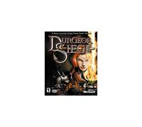 Dungeon Siege (PC)