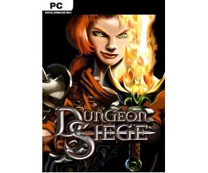 Dungeon Siege PC