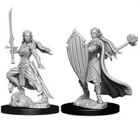 Dungeons And Dragons: Nolzur's Marvelous Unpainted Miniatures - Elf Female Druid