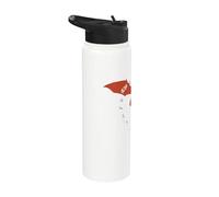 Dungeons and Dragons The Devils You Know Stainless Steel Insulated Water Bottle