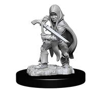 WizKids Halfling Rogue Male D&D Nolzur's Marvelous Unpainted Miniatures (W13)