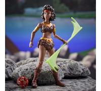 Dungeons & Dragons From The Classic Animated Series Diana Figure Multicolor