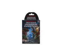 Dungeons & Dragons Icons of the Realms: Underdark Expeditions Booster