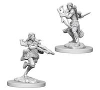 Dungeons & Dragons: Nolzur's Marvelous Unpainted Minia... - Brand New