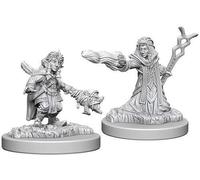 Dungeons & Dragons Nolzur's Marvelous Unpainted Miniatures Female Gnome Wizard