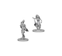Dungeons & Dragons: Nolzur's Marvelous Unpainted Miniatures: Medusas (Wave 5) - Board Game