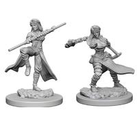 Dungeons & Dragons Nolzur's Marvelous Unpainted Miniatures (W1) Human Female Monk