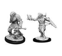 Dungeons & Dragons Nolzur's Marvelous Unpainted Miniatures (W11) Male Dragonborn Paladin