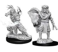 Dungeons & Dragons Nolzur's Marvelous Unpainted Minis: Male Human Druid