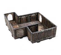 Archon Studio Dungeons & Lasers: Torture Chambers