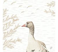 Duni Bio Dunisoft Napkins Wood & Goose 40X40Cm 60 Pack