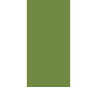 Duni Napkin Leaf Green 33x33cm 250 Pieces 1 Pack
