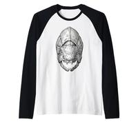 Dunkleosteus Fossil - Devonian Placoderm Fish Art Raglan Baseball Tee