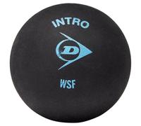 Dunlop DA50032 Intro Squash Ball 1 Pack
