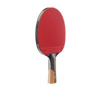 Dunlop Tabletennisbat Evolution 1000
