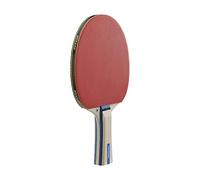 Dunlop Tabletennisbat Rage