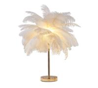 DUNMW Creative White Ostrich Feather Table Lamp Bedside Lamp Light Luxury and Elegant Lampshade Night Light Table Lighting for Living Room Bedroom Home Decoration, Rechargeable