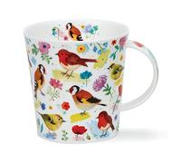 Dunoon Cairngorm 0.48L Mug Dawn Chorus Birds (Robin)